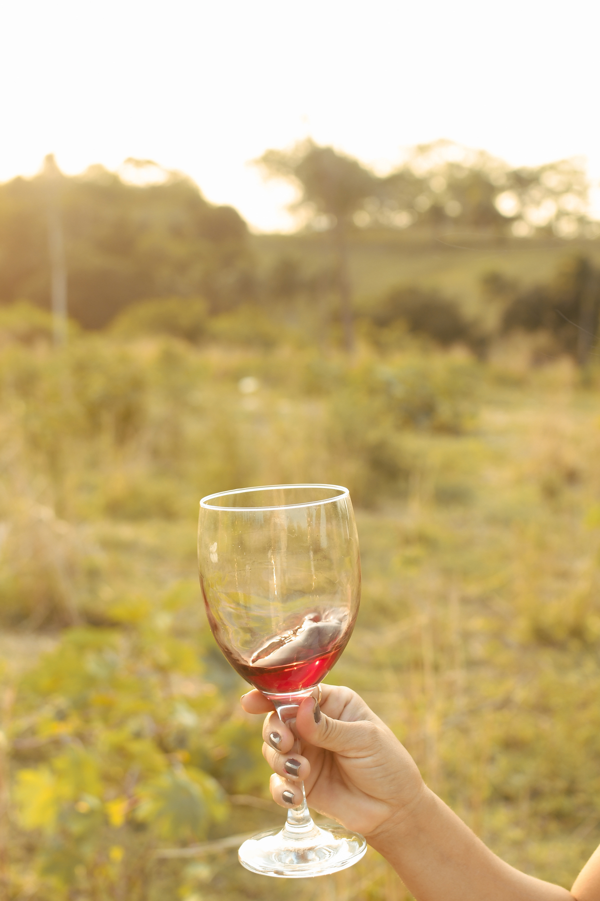 taça de vinho ensaio