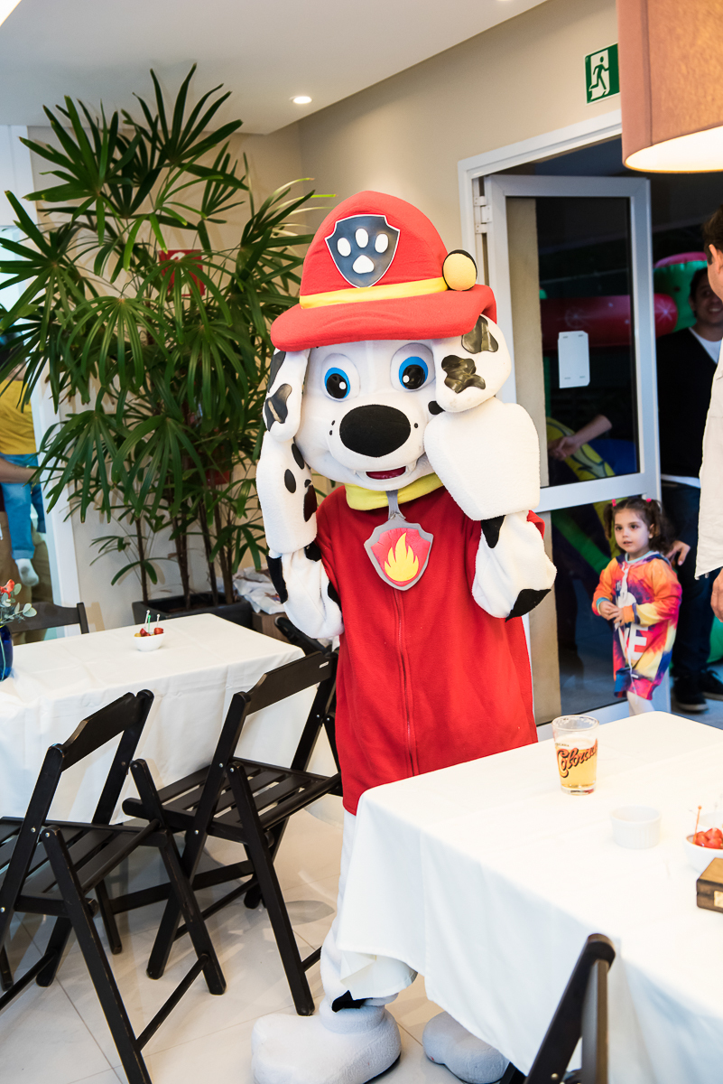 cachorro da patrulha canina