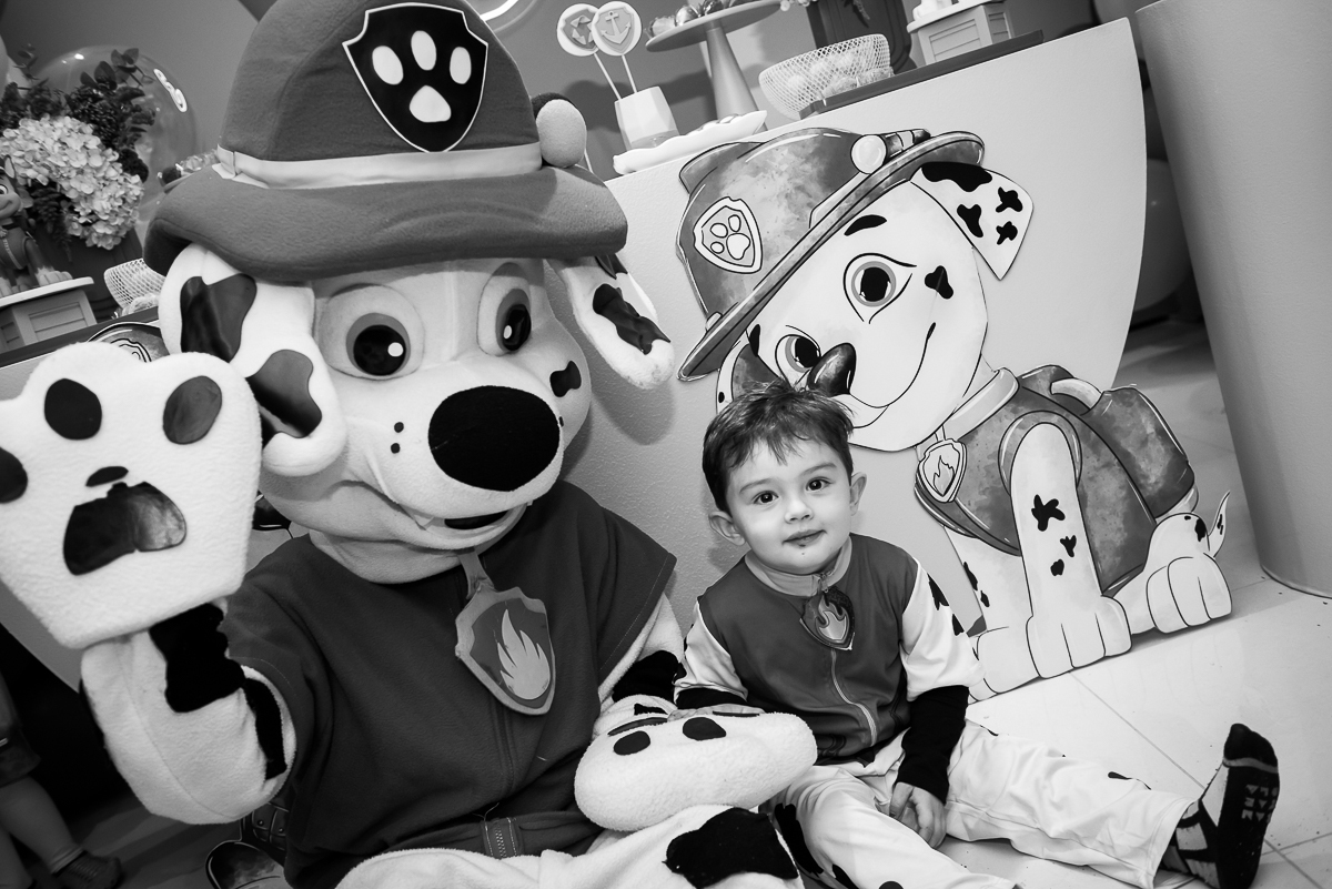 curtindo a patrulha canina