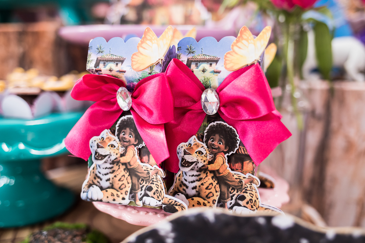 Lembrancinhas Tema Encanto Disney