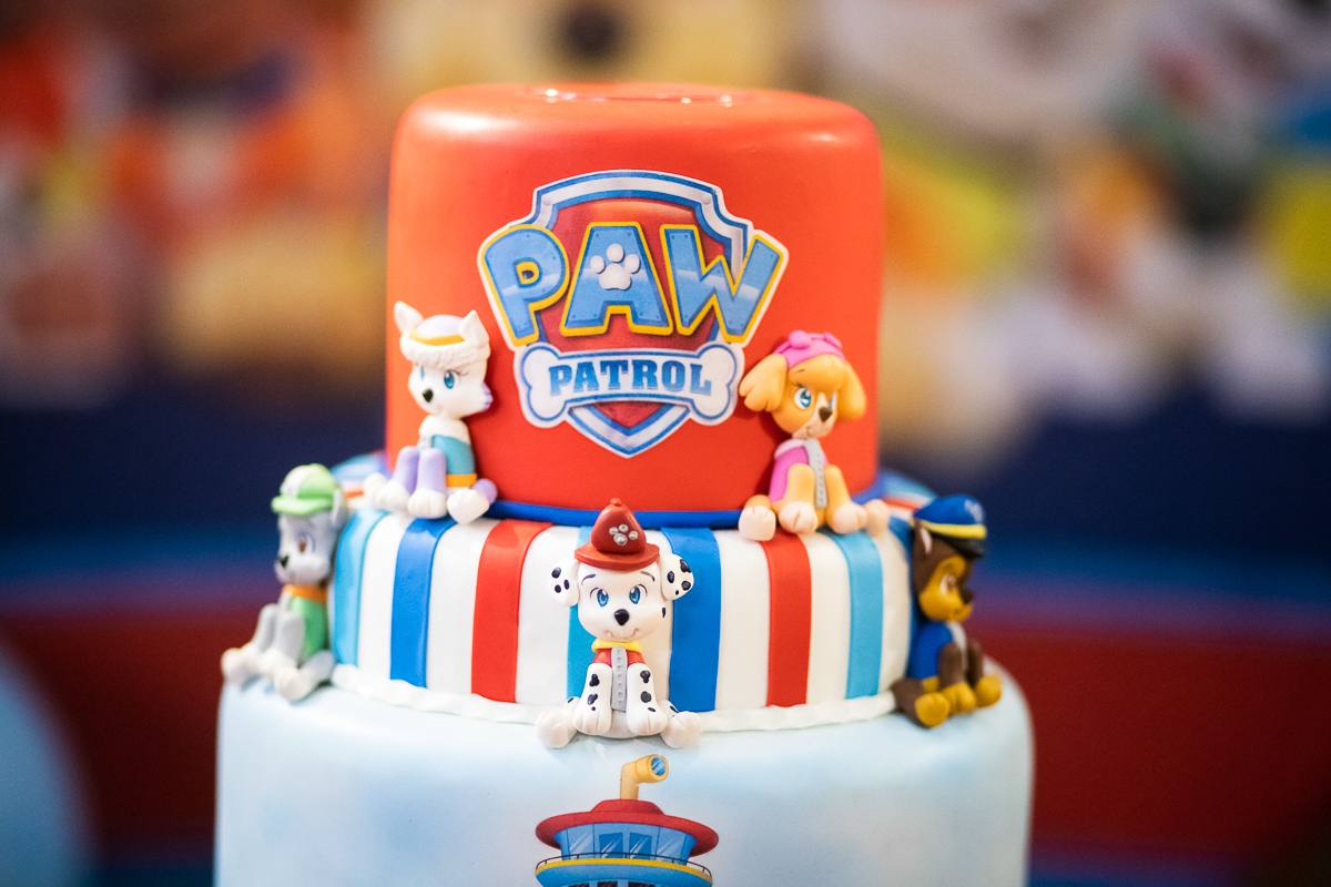fotografia festa infantil tema patrulha canina