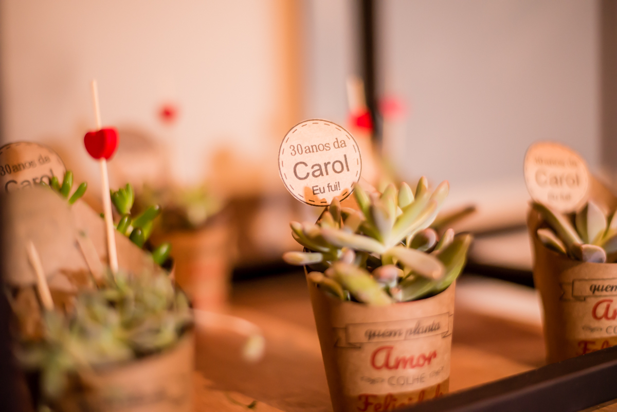 cactos suculento - lembrança da festa da Carol