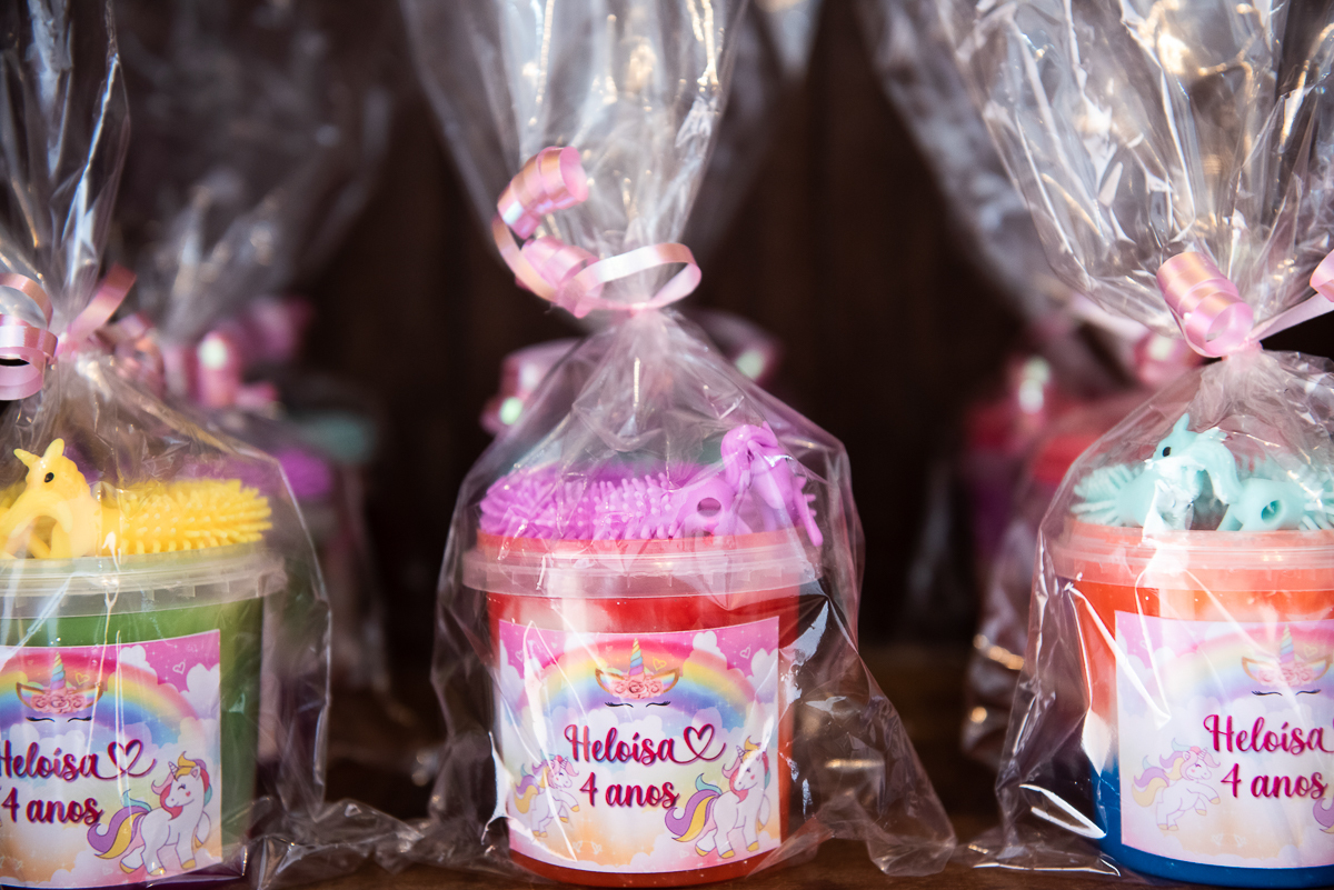 lembrancinhas do aniversário de 4 anos da Heloísa