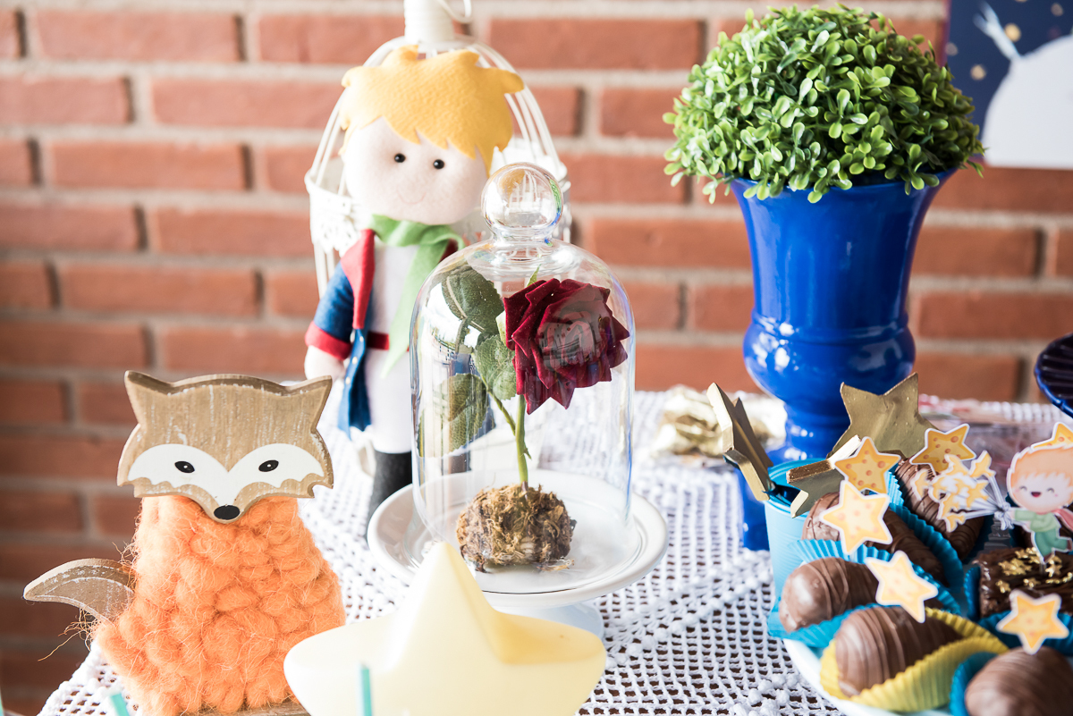 fotografia festa tema pequeno príncipe