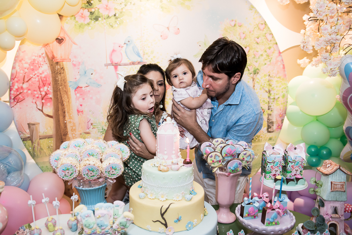 Hora do Parabéns - apagando a velinha