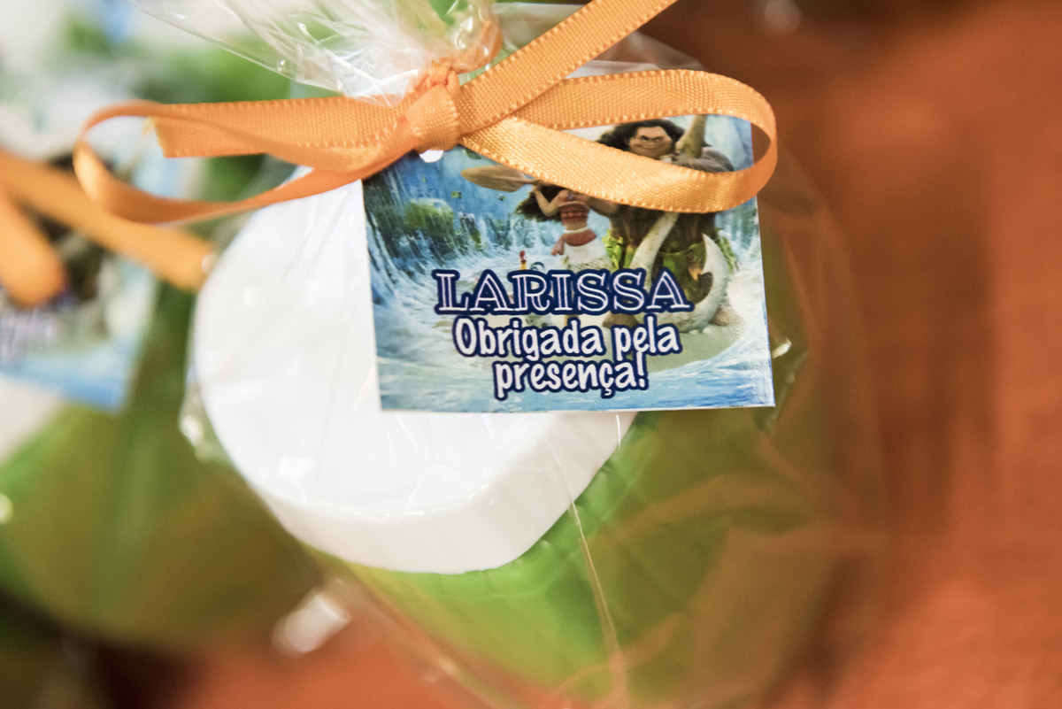 Fotografia Festa Infantil – Tema Moana