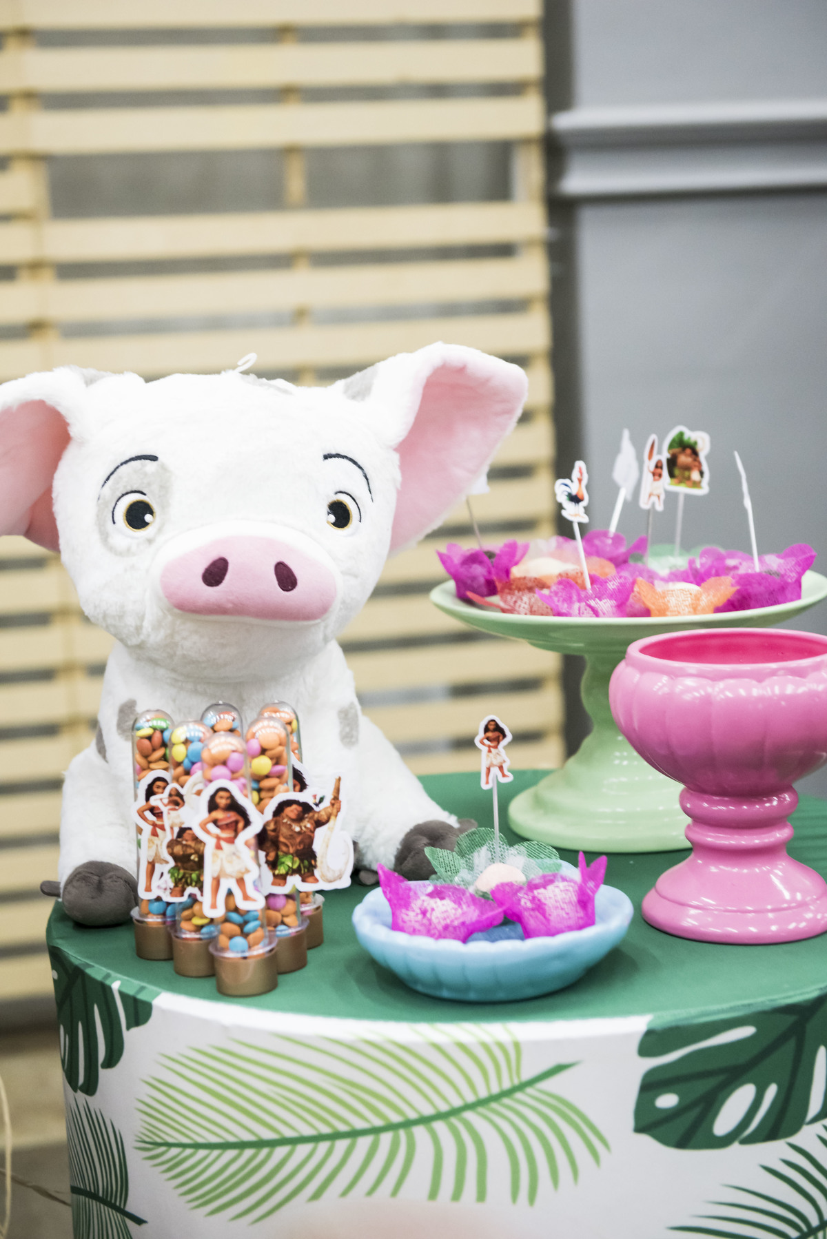Fotografia Festa Infantil – Tema Moana