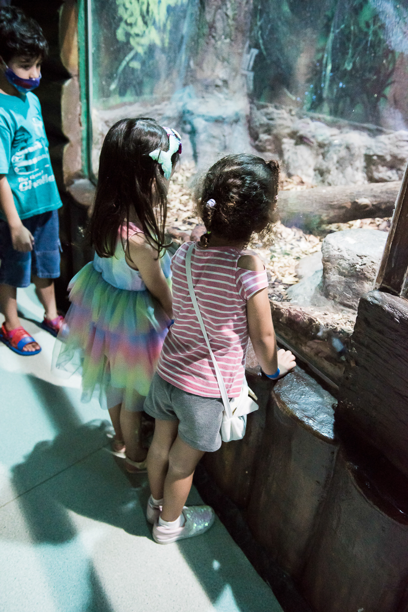 Fotografia Infantil - Aquário de São Paulo