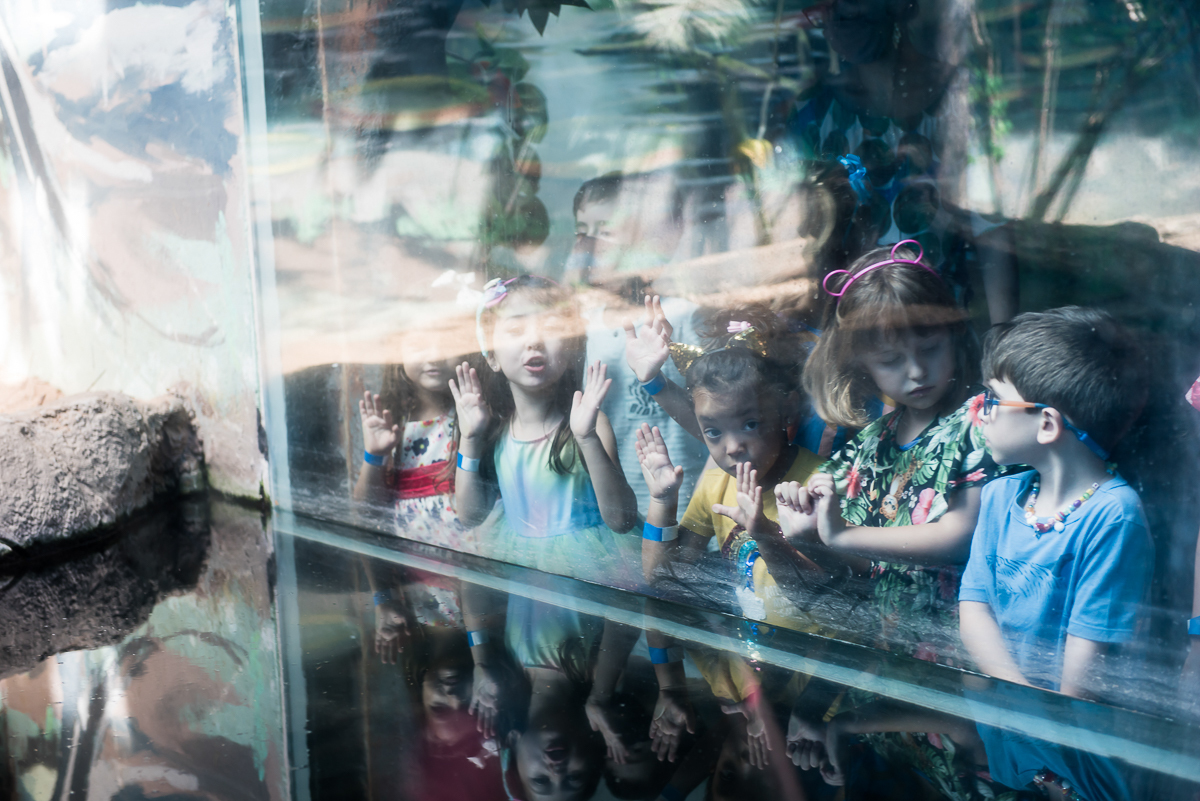 Fotografia Infantil - Aquário de São Paulo