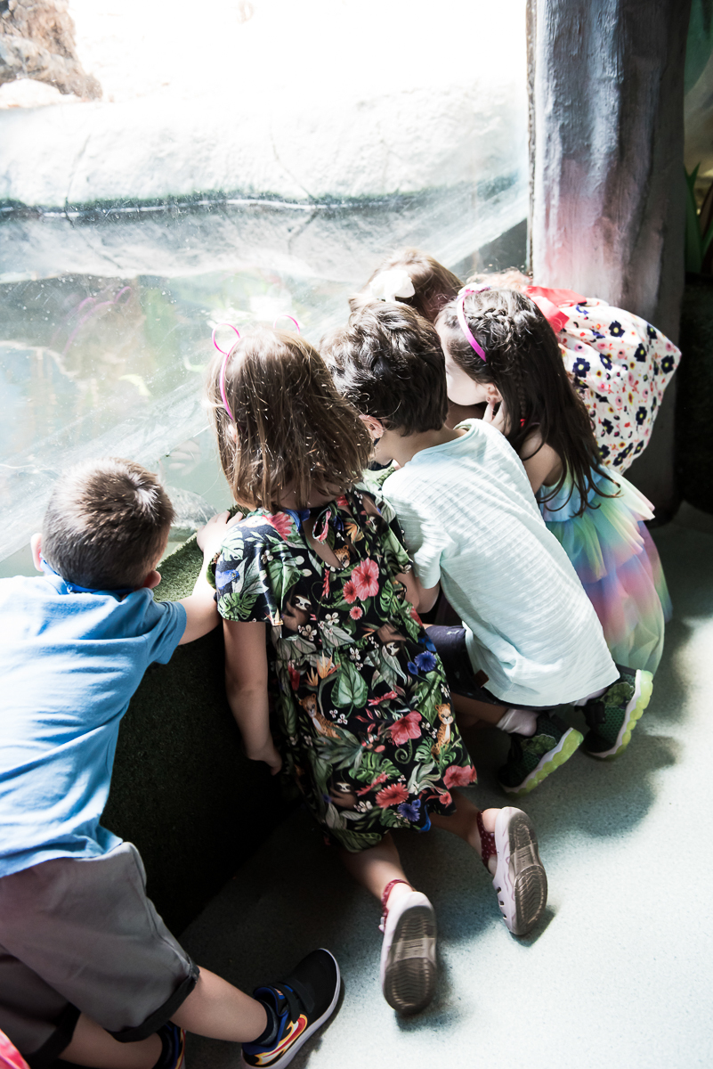 Fotografia Infantil - Aquário de São Paulo