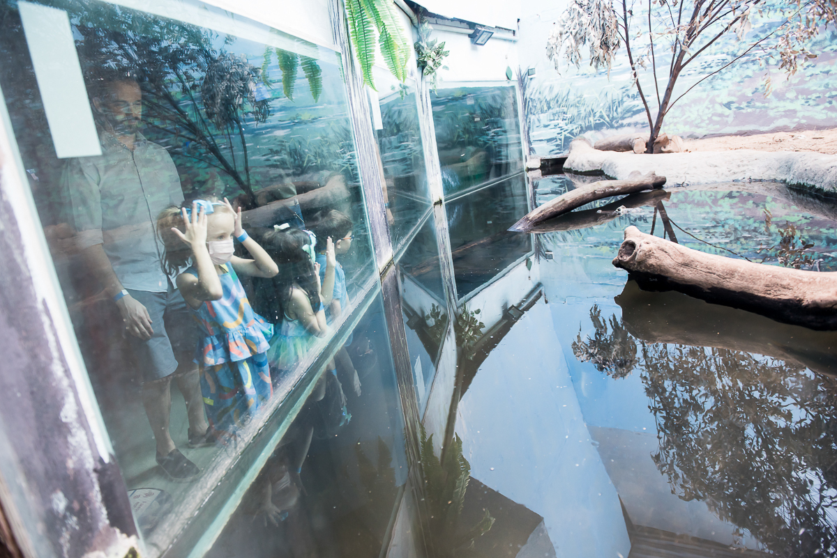 Fotografia Infantil - Aquário de São Paulo