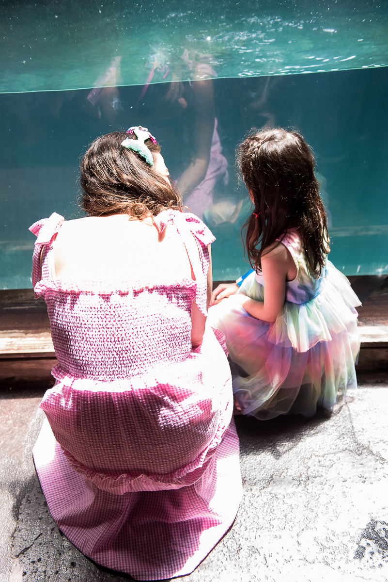 Curtindo o Aquário de São Paulo