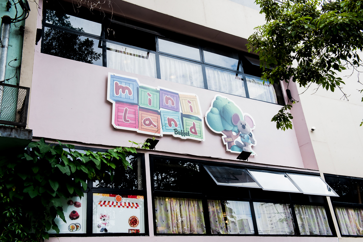 Fotografia Festa Infantil Buffet Miniland