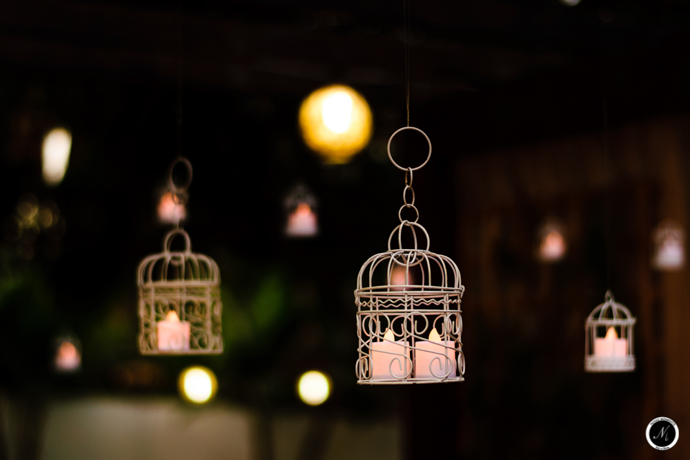 Gaiolinhas para casamento