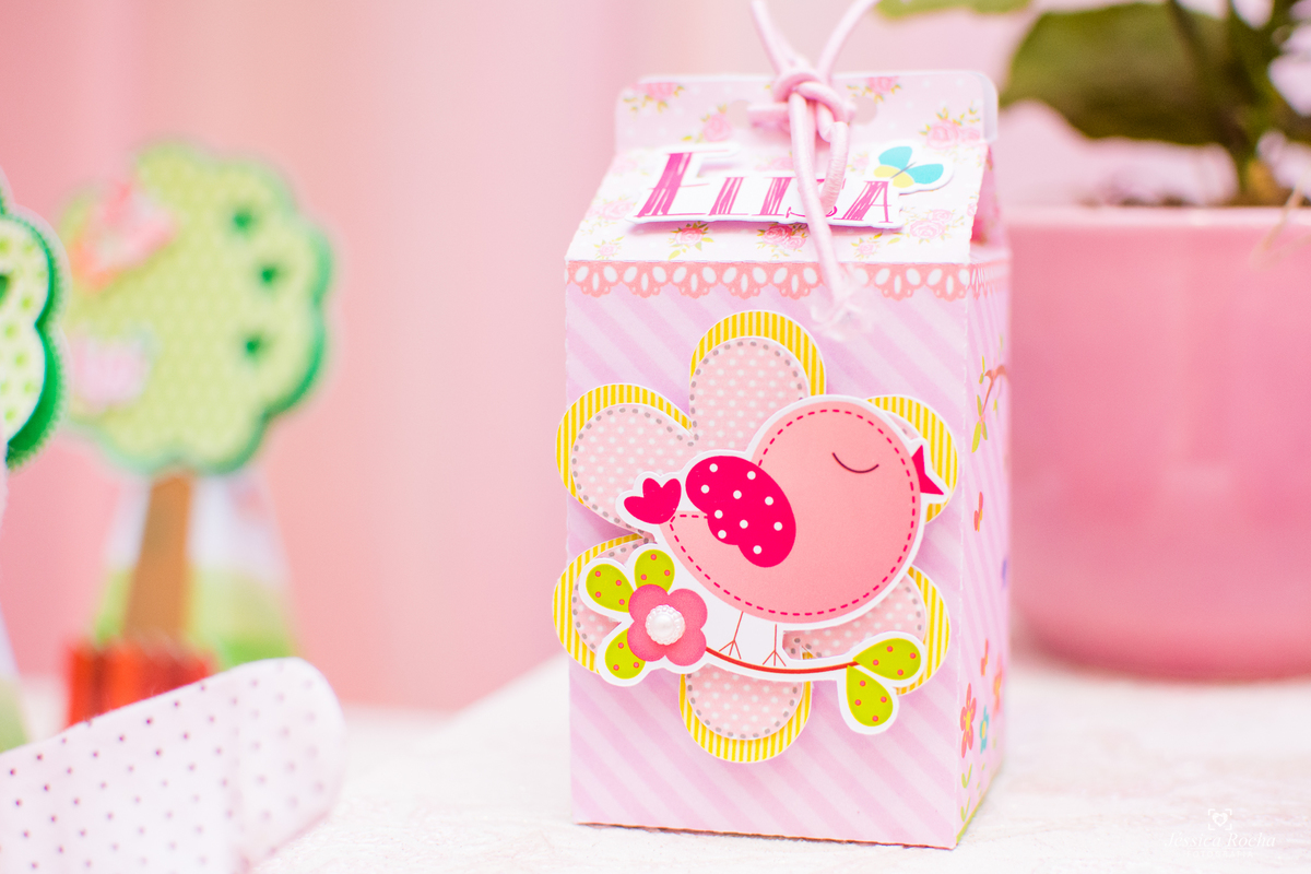 FESTA INFANTIL, CERIMONIAL ALLEGRO KIDS, FESTA DE MENINA, FOTOGRAFO VILA VELHA, DECORAÇÃO JARDIM ENCANTADO, FOTOGRAFIA INFANTIL COBILANDIA, JESSICA ROCHA