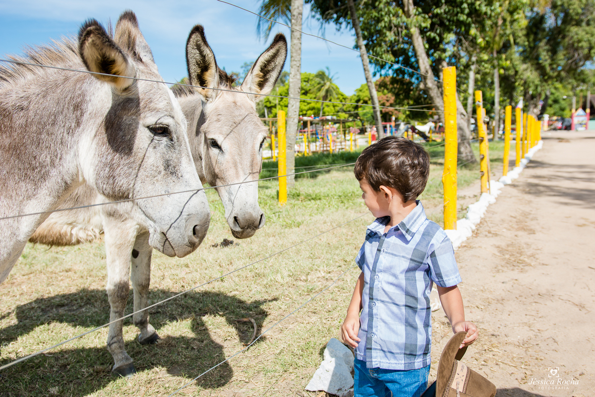ENSAIO FOTOGRAFICO INFANTIL-BOOK DE CRIANÇA- IDEIAS PARA ENSAIO INFANTIL-FOTOGRAFO INFANTIL EM VILA VELHA- FAZENDA RICO CAIPIRA