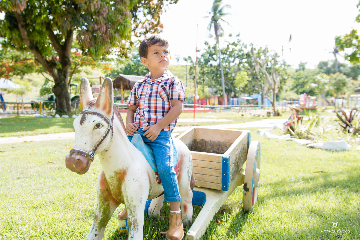 ENSAIO FOTOGRAFICO INFANTIL-BOOK DE CRIANÇA- IDEIAS PARA ENSAIO INFANTIL-FOTOGRAFO INFANTIL EM VILA VELHA- FAZENDA RICO CAIPIRA