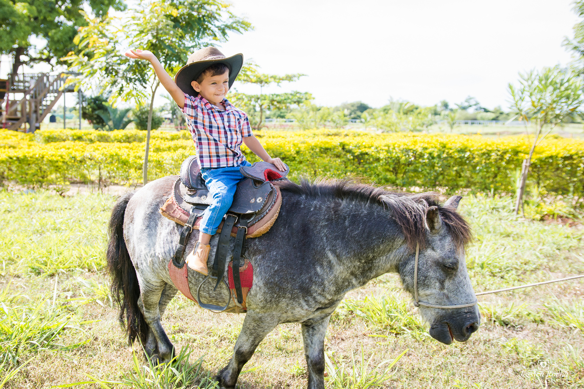 ENSAIO FOTOGRAFICO INFANTIL-BOOK DE CRIANÇA- IDEIAS PARA ENSAIO INFANTIL-FOTOGRAFO INFANTIL EM VILA VELHA- FAZENDA RICO CAIPIRA