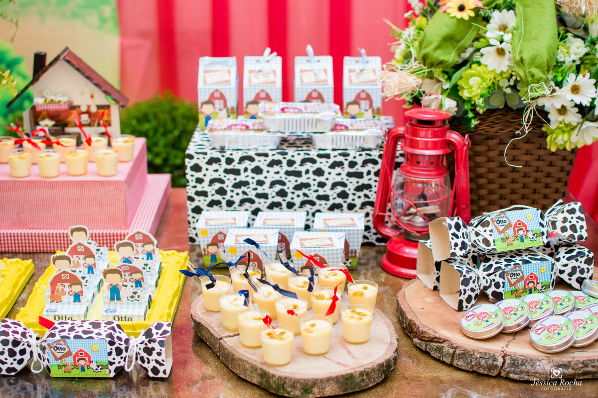 Festa infantil em Vila Velha-Festa tema Fazendinha-Festa de Menino-Cerimonial Allegro Kids-Fotografo infantil em Vila Velha-Fotografo infantil em Vitoria ES- Cerimonial Infantil em Vila Velha-Jéssica Rocha Fotografia