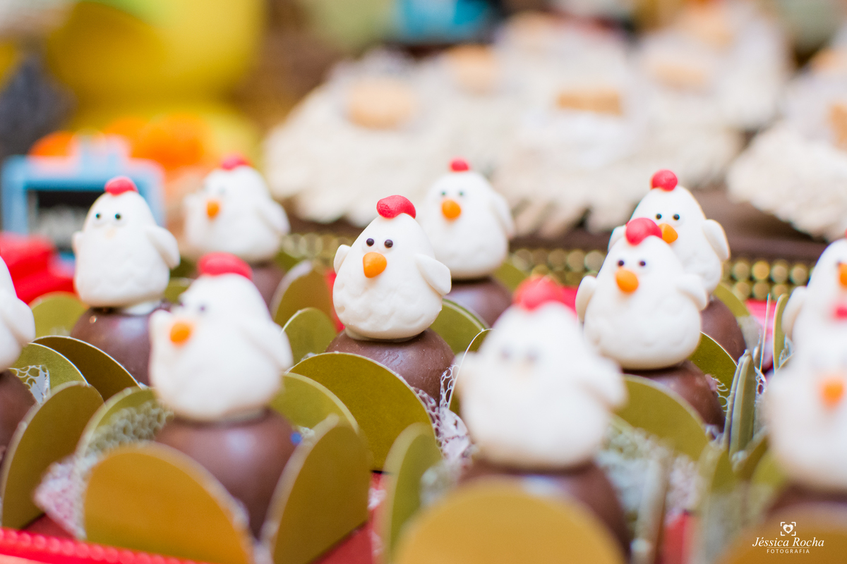 Festa infantil em Vila Velha-Festa tema Fazendinha-Festa de Menino-Cerimonial Allegro Kids-Fotografo infantil em Vila Velha-Fotografo infantil em Vitoria ES- Cerimonial Infantil em Vila Velha-Jéssica Rocha Fotografia