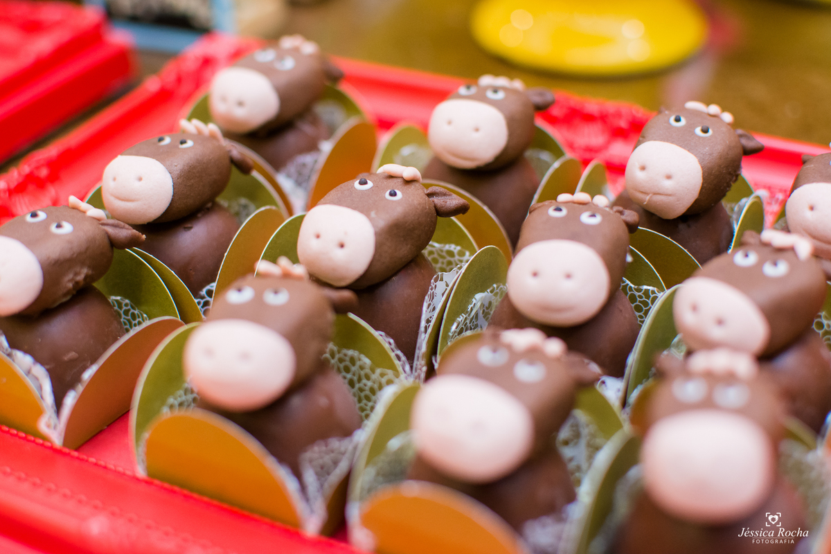 Festa infantil em Vila Velha-Festa tema Fazendinha-Festa de Menino-Cerimonial Allegro Kids-Fotografo infantil em Vila Velha-Fotografo infantil em Vitoria ES- Cerimonial Infantil em Vila Velha-Jéssica Rocha Fotografia