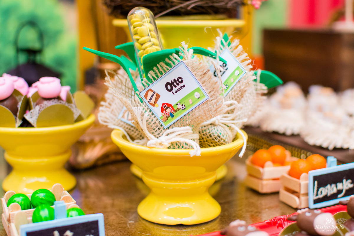 Festa infantil em Vila Velha-Festa tema Fazendinha-Festa de Menino-Cerimonial Allegro Kids-Fotografo infantil em Vila Velha-Fotografo infantil em Vitoria ES- Cerimonial Infantil em Vila Velha-Jéssica Rocha Fotografia