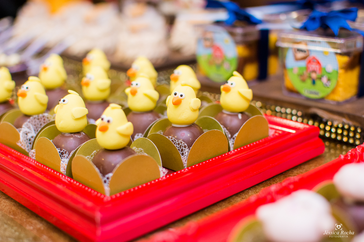 Festa infantil em Vila Velha-Festa tema Fazendinha-Festa de Menino-Cerimonial Allegro Kids-Fotografo infantil em Vila Velha-Fotografo infantil em Vitoria ES- Cerimonial Infantil em Vila Velha-Jéssica Rocha Fotografia