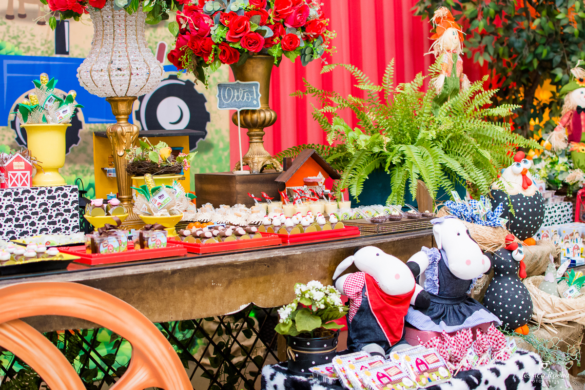 Festa infantil em Vila Velha-Festa tema Fazendinha-Festa de Menino-Cerimonial Allegro Kids-Fotografo infantil em Vila Velha-Fotografo infantil em Vitoria ES- Cerimonial Infantil em Vila Velha-Jéssica Rocha Fotografia