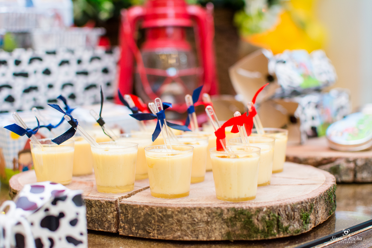 Festa infantil em Vila Velha-Festa tema Fazendinha-Festa de Menino-Cerimonial Allegro Kids-Fotografo infantil em Vila Velha-Fotografo infantil em Vitoria ES- Cerimonial Infantil em Vila Velha-Jéssica Rocha Fotografia