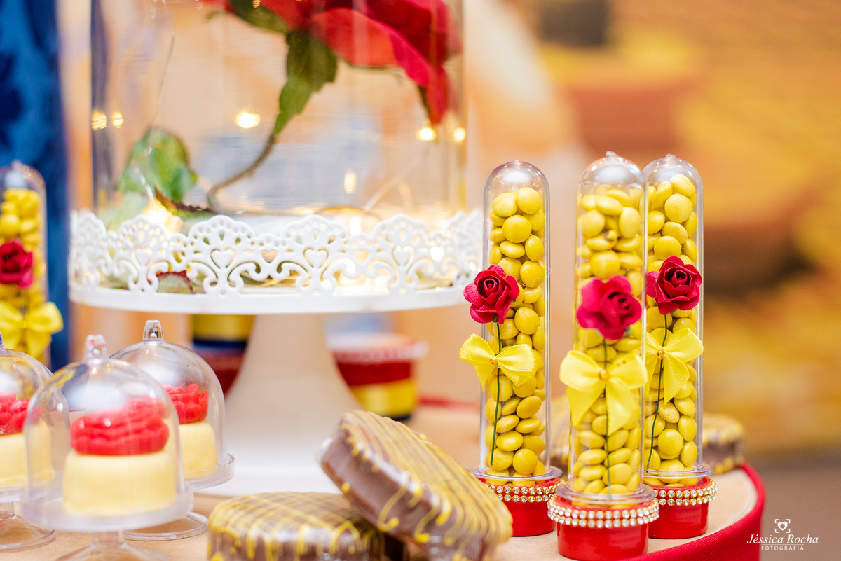 FESTA INFANTIL EM VILA VELHA-FOTOGRAFO DE FESTA INFANTIL EM VILA VELHA-FOTOGRAFO INFANTIL EM VITORIA-FESTA A BELA E A FERA- TEMA PARA FESTA DE MENINA-FESTA DE MENINA-FOTOGRAFO EM VILA VELHA ES-JESSICA ROCHA FOTOGRAFIA