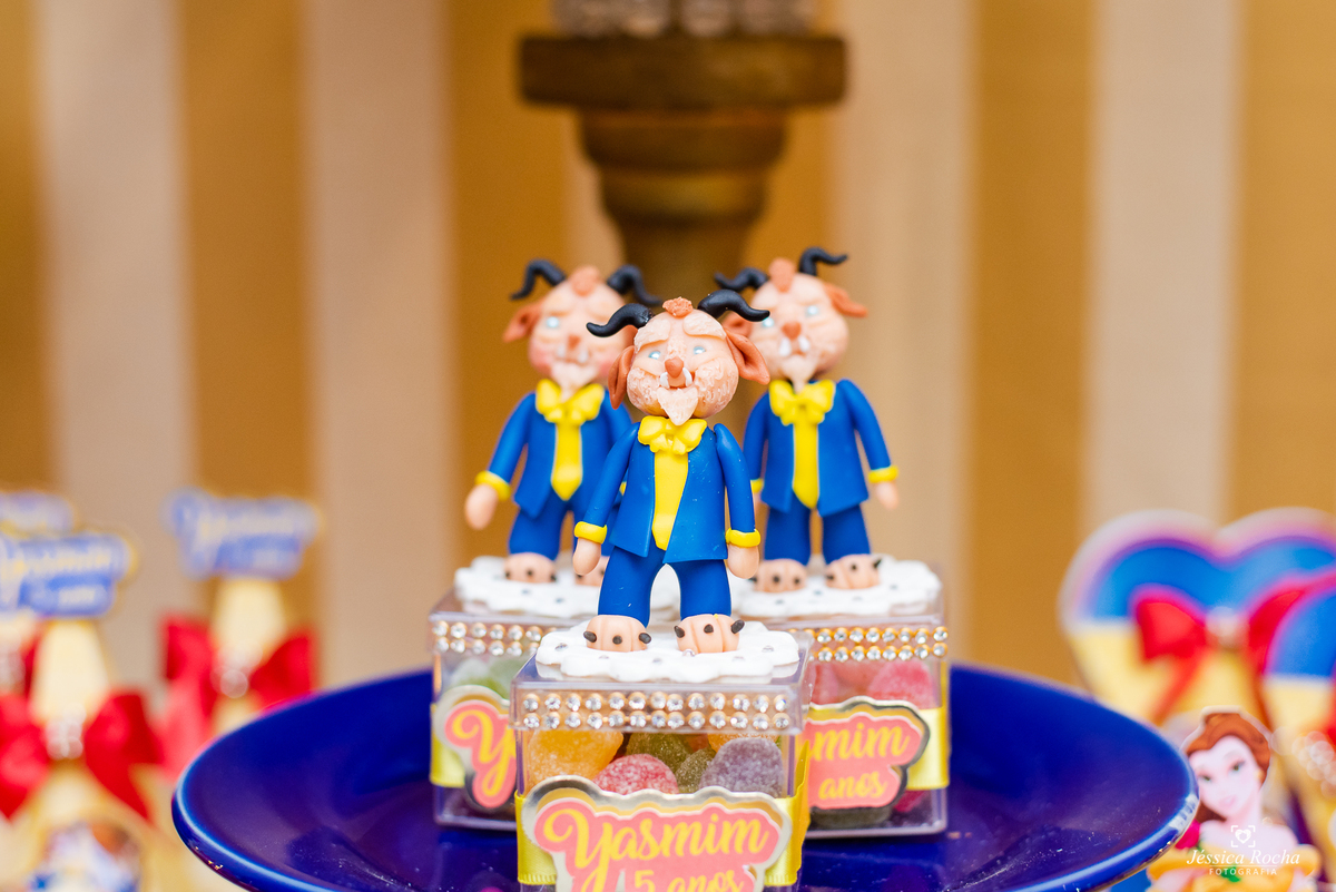 FESTA INFANTIL EM VILA VELHA-FOTOGRAFO DE FESTA INFANTIL EM VILA VELHA-FOTOGRAFO INFANTIL EM VITORIA-FESTA A BELA E A FERA- TEMA PARA FESTA DE MENINA-FESTA DE MENINA-FOTOGRAFO EM VILA VELHA ES-JESSICA ROCHA FOTOGRAFIA