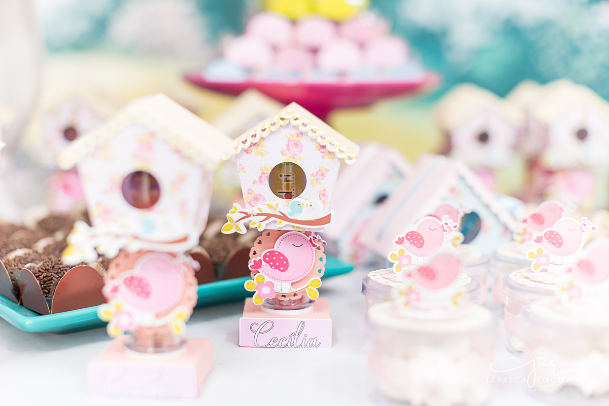 FESTA INFANTIL EM VILA VELHA- FOTOGRAFIA DE FESTA INFANTIL-FESTA DE MENINA-DECORAÇAO JARDIM-FOTOGRAFO INFANTIL EM VILA VELHA-ANIVERSARIO INFANTIL-DECORAÇÃO FESTA DE MENINA-CERIMONAIL FESTEJAR KIDS