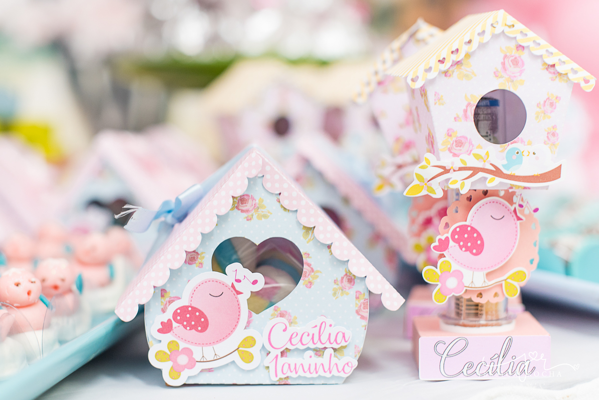 FESTA INFANTIL EM VILA VELHA- FOTOGRAFIA DE FESTA INFANTIL-FESTA DE MENINA-DECORAÇAO JARDIM-FOTOGRAFO INFANTIL EM VILA VELHA-ANIVERSARIO INFANTIL-DECORAÇÃO FESTA DE MENINA-CERIMONAIL FESTEJAR KIDS