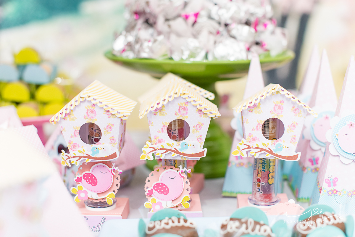 FESTA INFANTIL EM VILA VELHA- FOTOGRAFIA DE FESTA INFANTIL-FESTA DE MENINA-DECORAÇAO JARDIM-FOTOGRAFO INFANTIL EM VILA VELHA-ANIVERSARIO INFANTIL-DECORAÇÃO FESTA DE MENINA-CERIMONAIL FESTEJAR KIDS