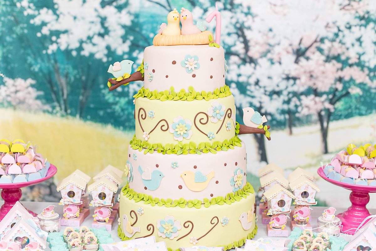 FESTA INFANTIL EM VILA VELHA- FOTOGRAFIA DE FESTA INFANTIL-FESTA DE MENINA-DECORAÇAO JARDIM-FOTOGRAFO INFANTIL EM VILA VELHA-ANIVERSARIO INFANTIL-DECORAÇÃO FESTA DE MENINA-CERIMONAIL FESTEJAR KIDS