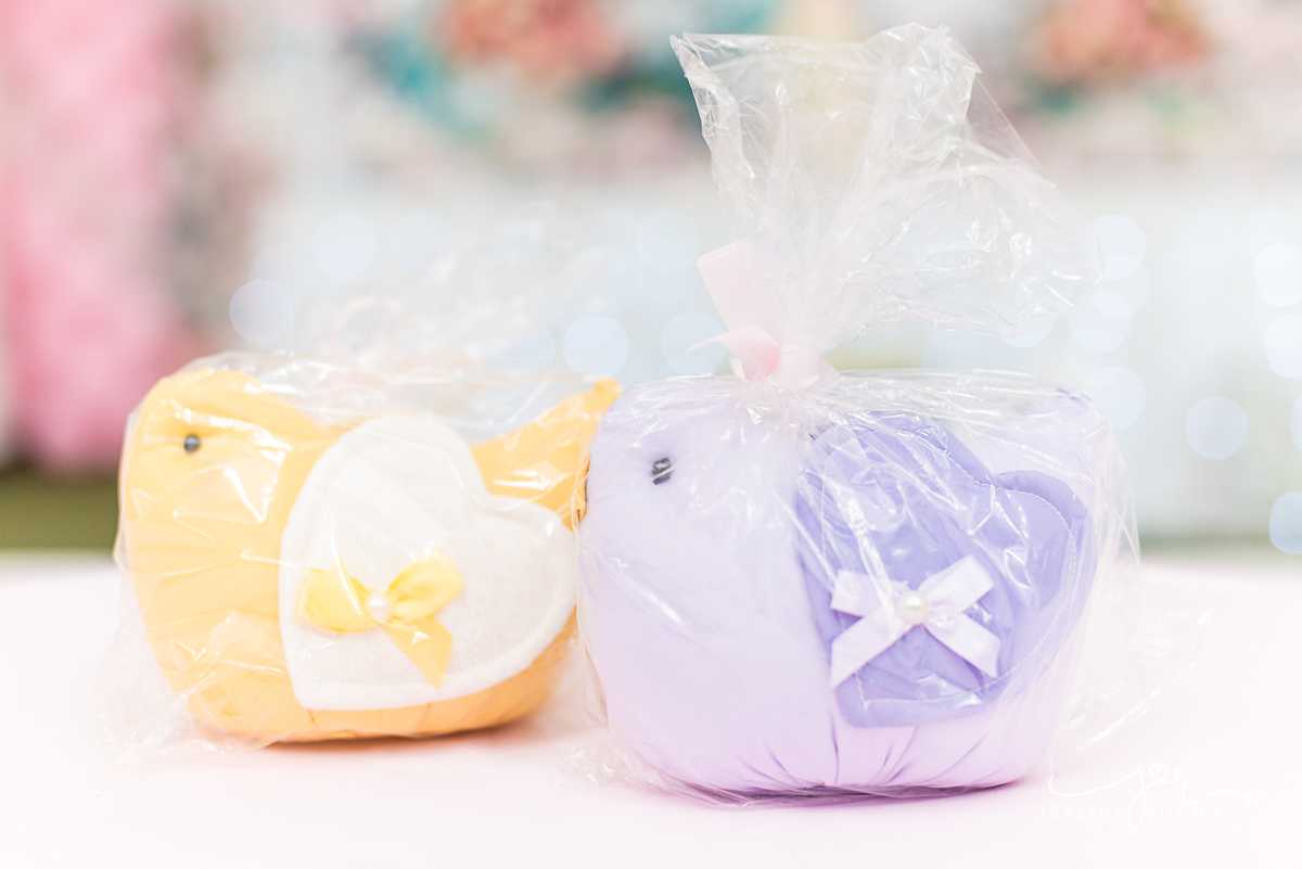 FESTA INFANTIL EM VILA VELHA- FOTOGRAFIA DE FESTA INFANTIL-FESTA DE MENINA-DECORAÇAO JARDIM-FOTOGRAFO INFANTIL EM VILA VELHA-ANIVERSARIO INFANTIL-DECORAÇÃO FESTA DE MENINA-CERIMONAIL FESTEJAR KIDS