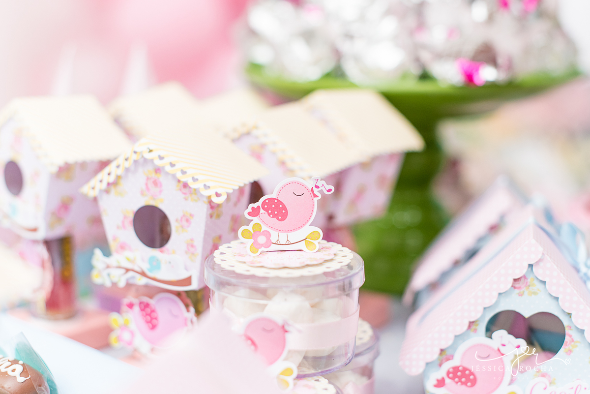 FESTA INFANTIL EM VILA VELHA- FOTOGRAFIA DE FESTA INFANTIL-FESTA DE MENINA-DECORAÇAO JARDIM-FOTOGRAFO INFANTIL EM VILA VELHA-ANIVERSARIO INFANTIL-DECORAÇÃO FESTA DE MENINA-CERIMONAIL FESTEJAR KIDS