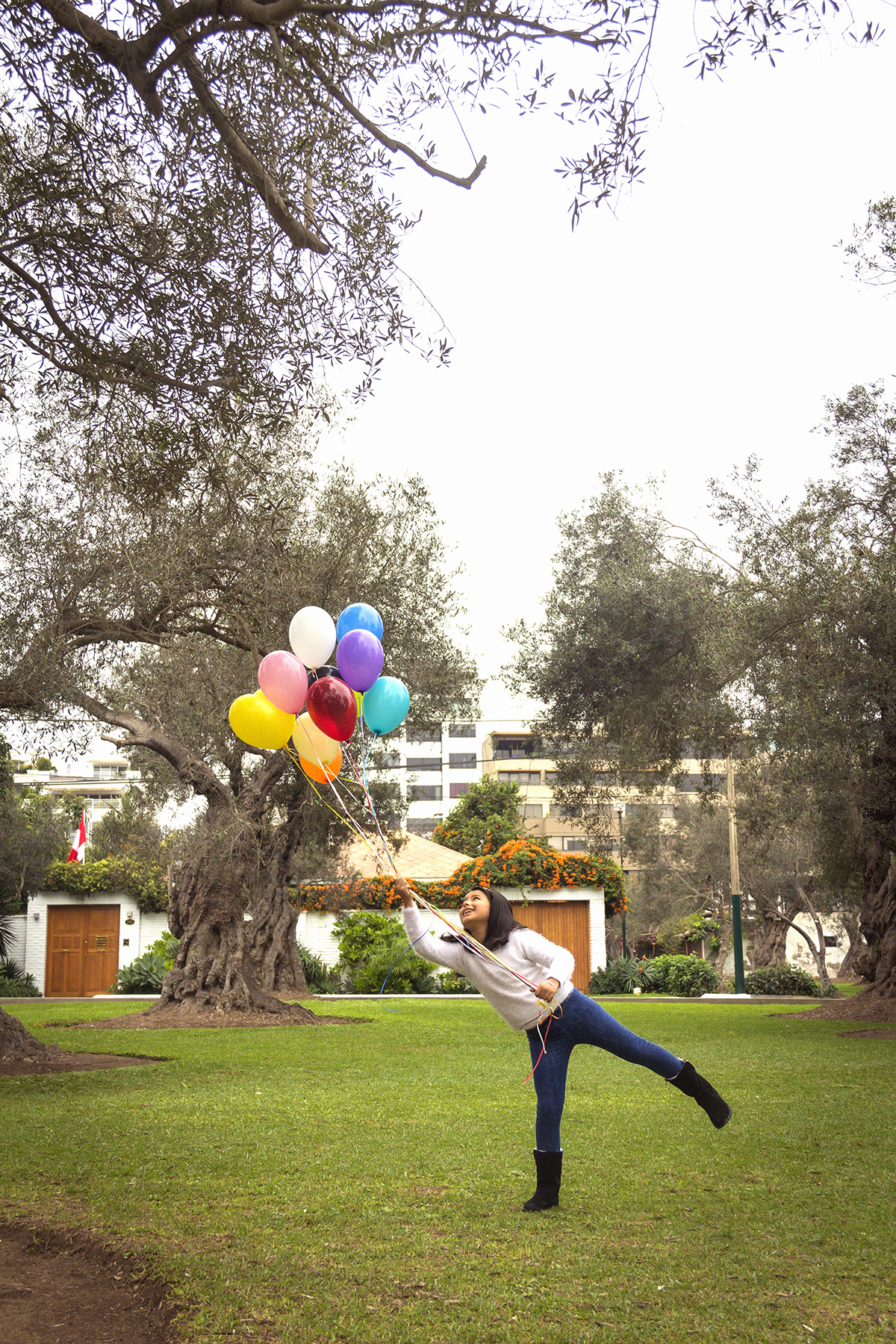 El olivar de san Isidro 