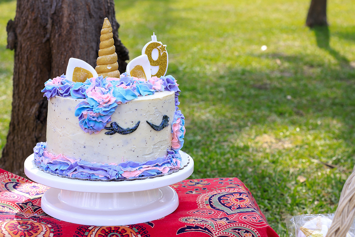 Fotógrafo de Fiestas Infantiles en Lima