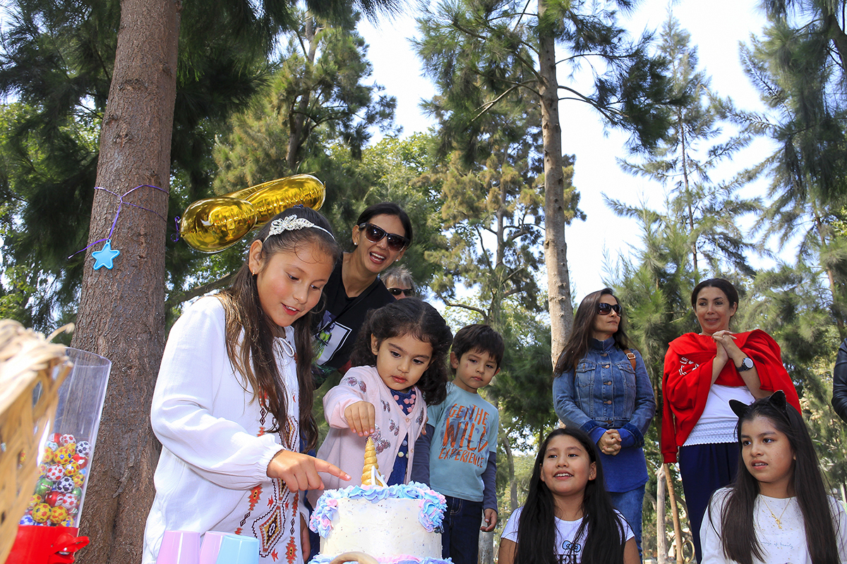 Happiness, happy Birthday 