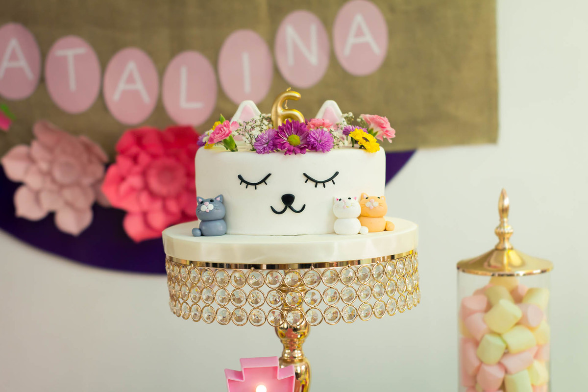 fotógrafo de fiestas infantiles en lima, torta de fiesta, adornos de gatos, bombones 