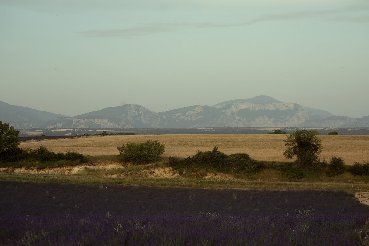 melhor fotografa de famílias de Portugal, melhor fotografa de familias de Lisboa, sessão fotográfica de famílias, sessão fotos de famílias, ensaio fotográfico de família, sessão fotográfica na rua, sessão fotográfica de família outdoor