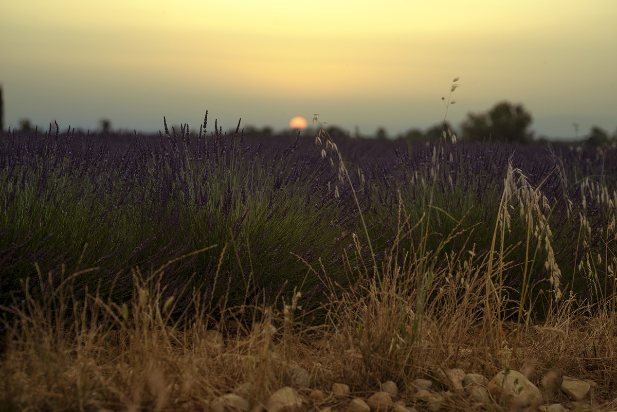 melhor fotografa de famílias de Portugal, melhor fotografa de familias de Lisboa, sessão fotográfica de famílias, sessão fotos de famílias, ensaio fotográfico de família, sessão fotográfica na rua, sessão fotográfica de família outdoor