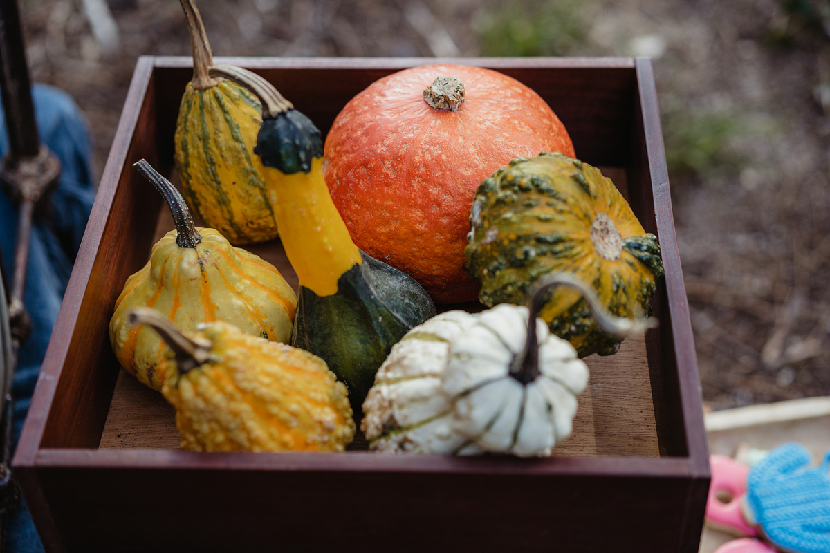melhor fotografa de famílias de Portugal, melhor fotografa de famílias de Lisboa, sessão fotográfica de famílias, sessão fotos de famílias, ensaio fotográfico de família, sessão fotográfica na rua, fotos de crianças, fotografo de crianças Oeiras