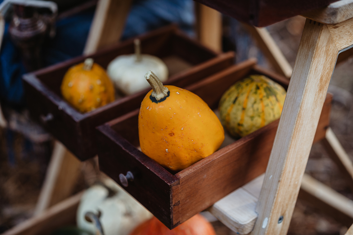 melhor fotografa de famílias de Portugal, melhor fotografa de famílias de Lisboa, sessão fotográfica de famílias, sessão fotos de famílias, ensaio fotográfico de família, sessão fotográfica na rua, fotos de crianças, fotografo de crianças Oeiras