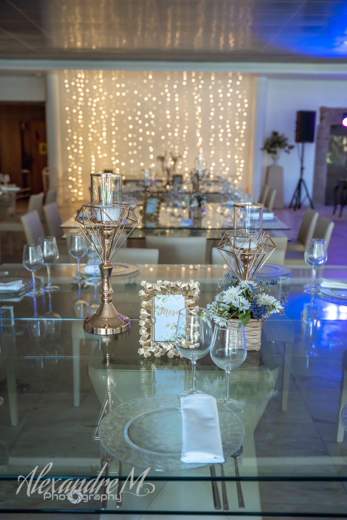 Glicinia wedding house decoração