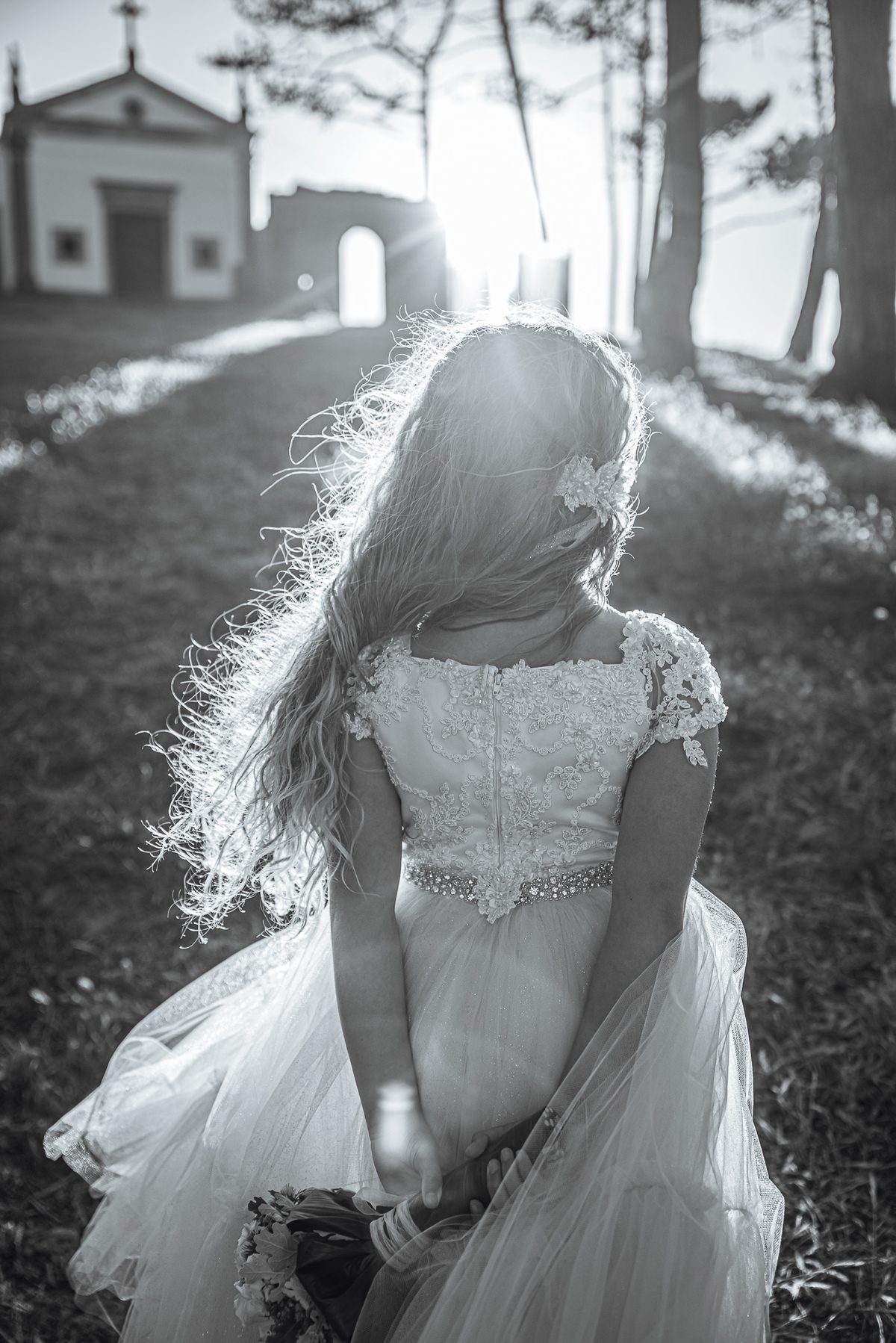 Fotografia Preto e Branco Apúlia Ramo Pinhal