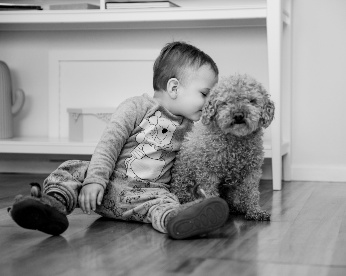 criança bebe e o seu cão companheiro patudo preto e branco