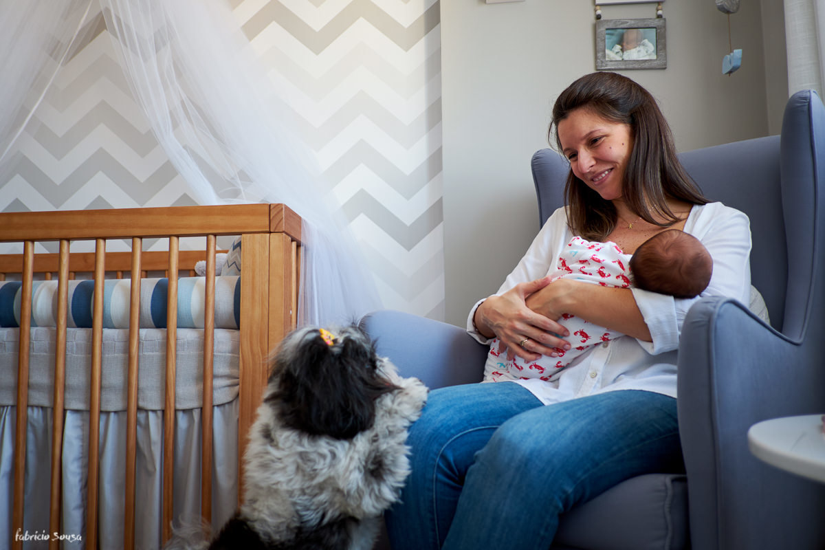 cachorrinha chloe pedindo atenção com o novo bebê em casa