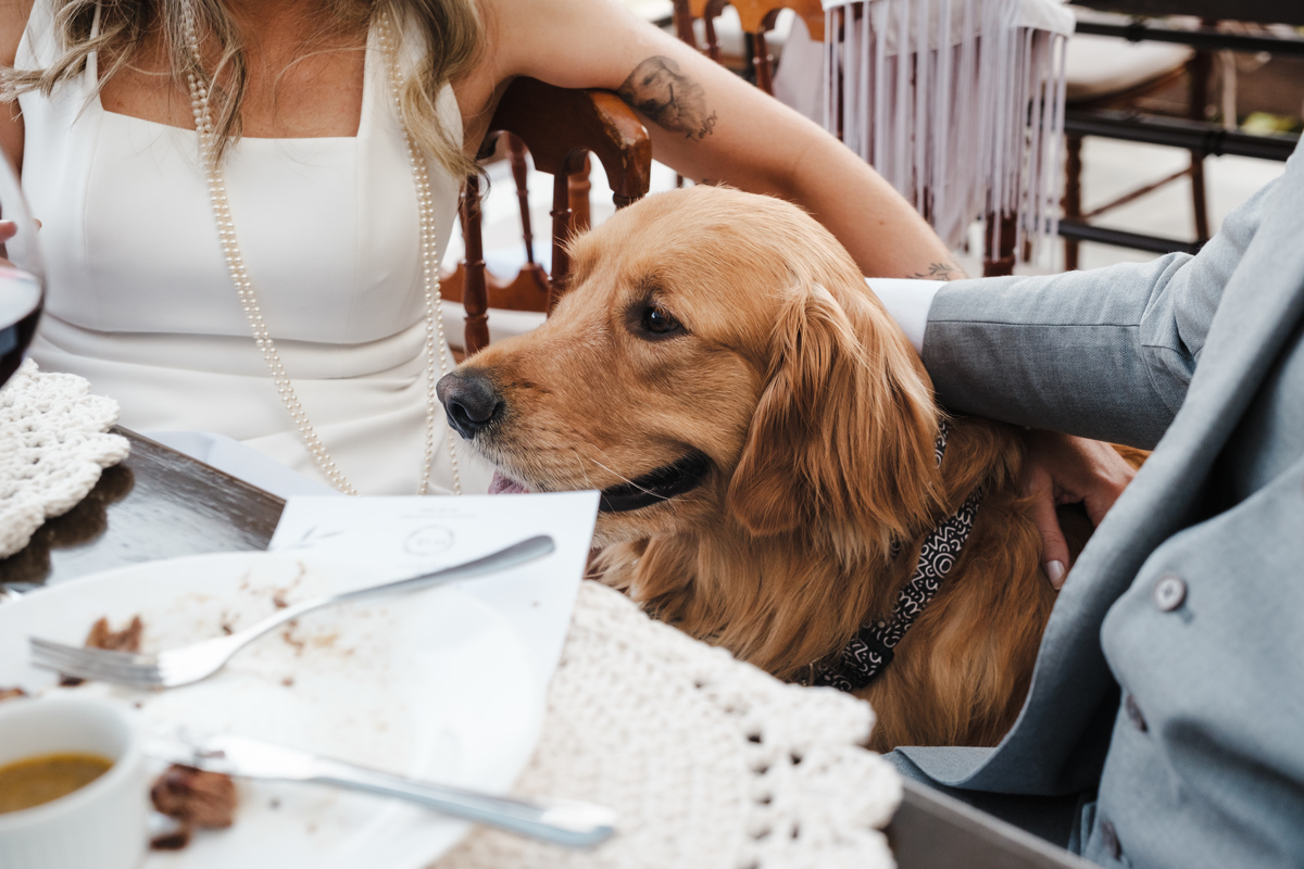 Recepção aconchegante após a cerimônia de casamento na Pousada Rohsler, com almoço especial para amigos e familiares.